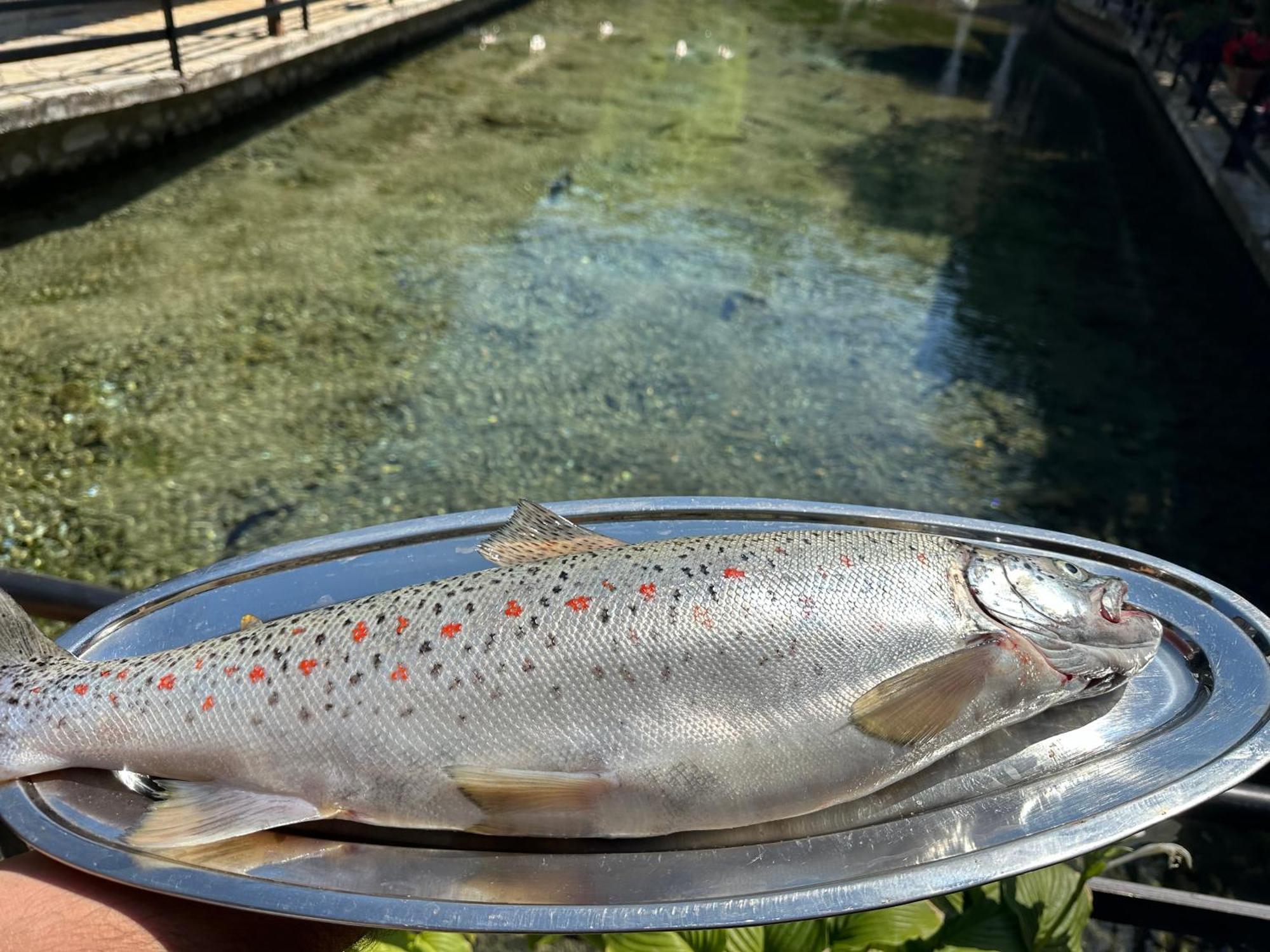 Rritja E Koranit Hotel Tushemisht Kültér fotó